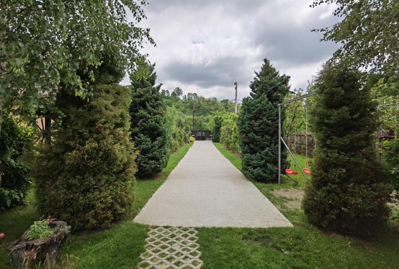 Conacul Caterinei Hotel Polovragi Bagian luar foto