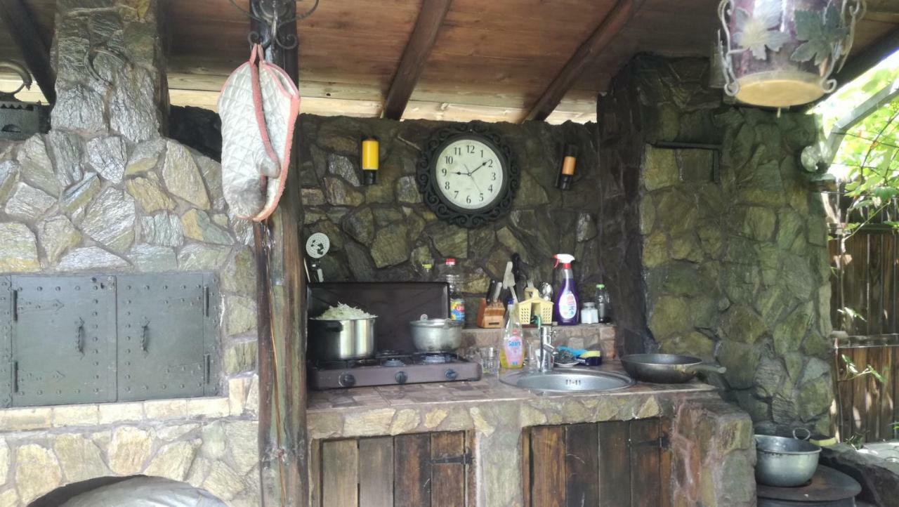 Conacul Caterinei Hotel Polovragi Bagian luar foto
