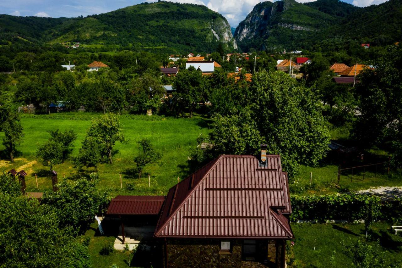 Conacul Caterinei Hotel Polovragi Bagian luar foto