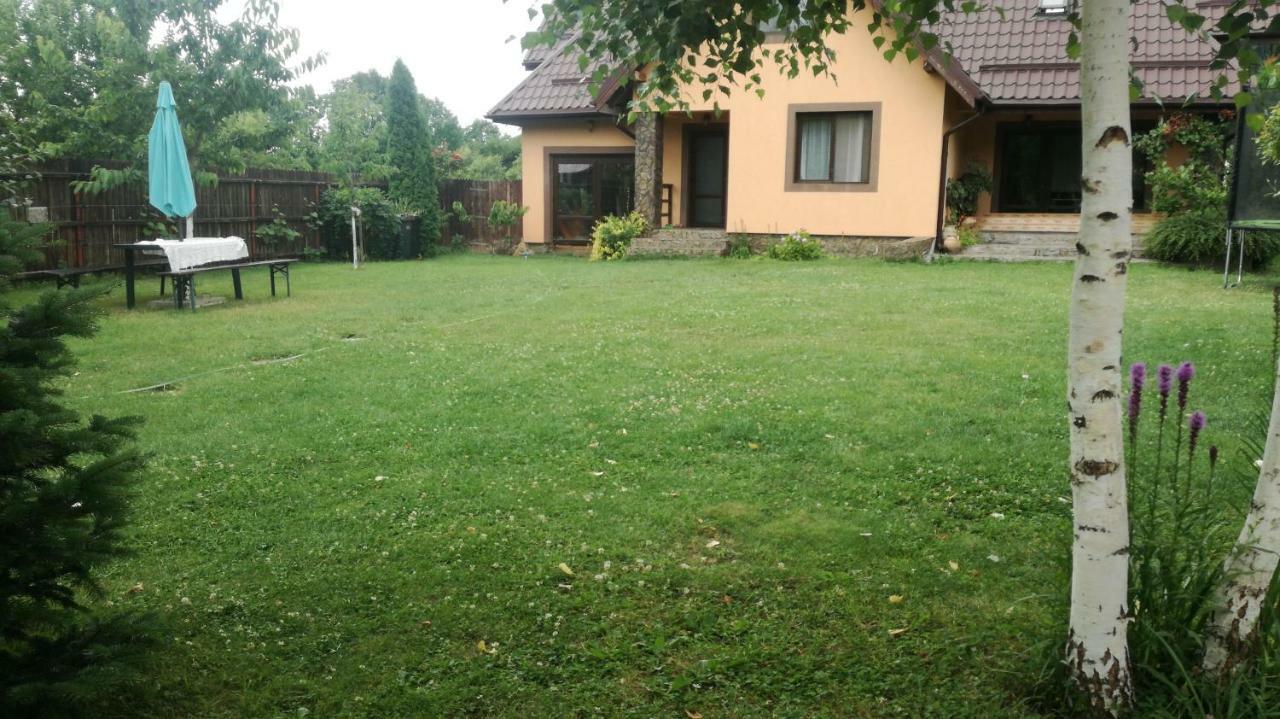 Conacul Caterinei Hotel Polovragi Bagian luar foto
